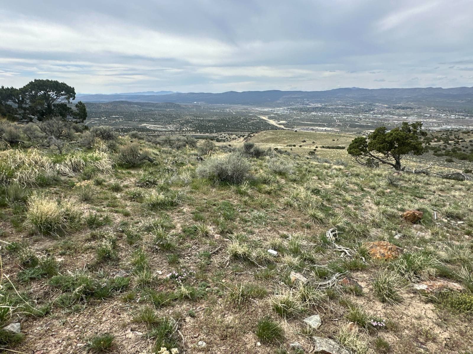 Vacant Land - Spring Creek, NV