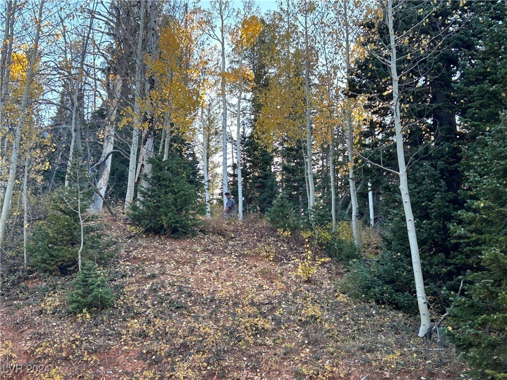 Picture 7