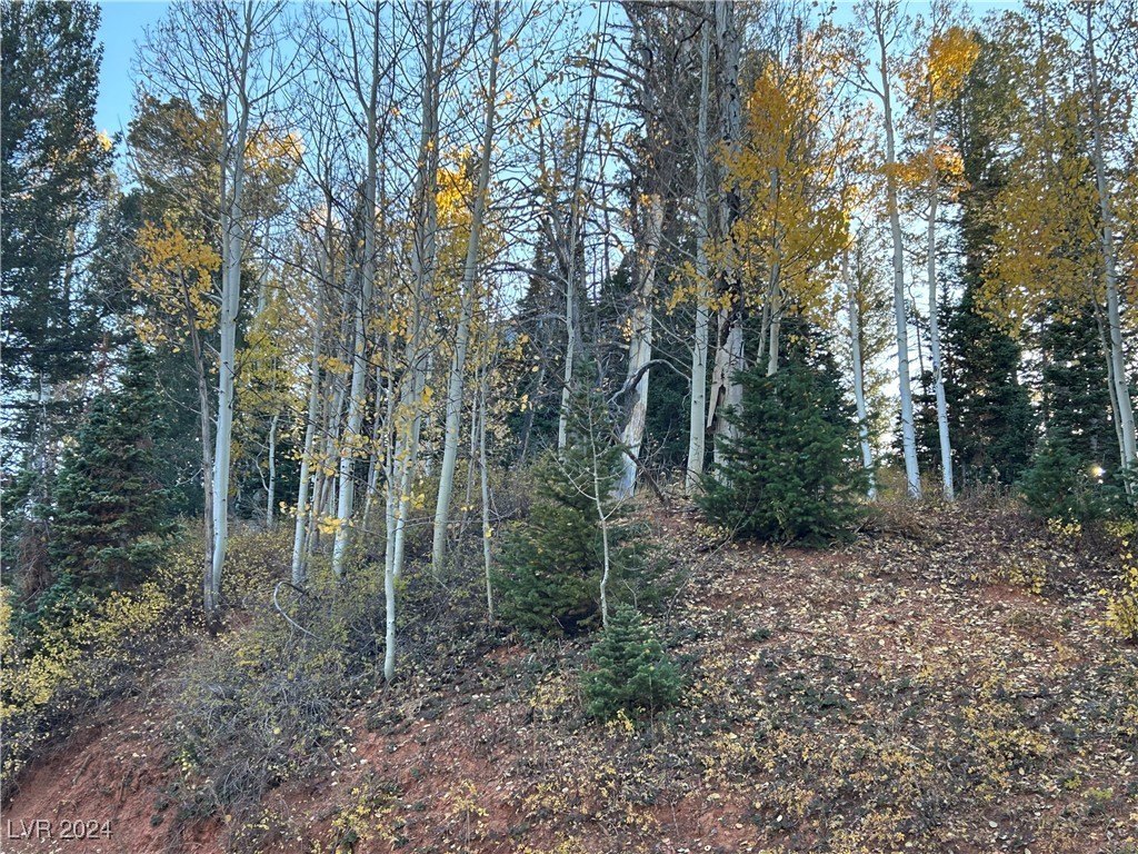 Picture 8