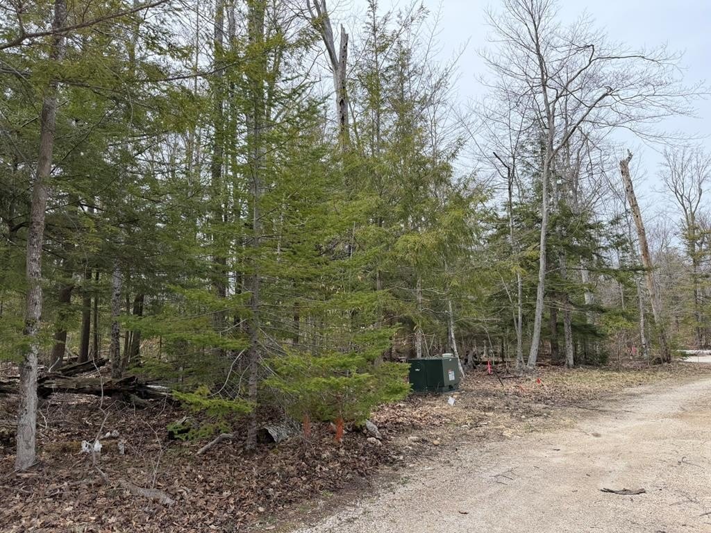 Picture 5