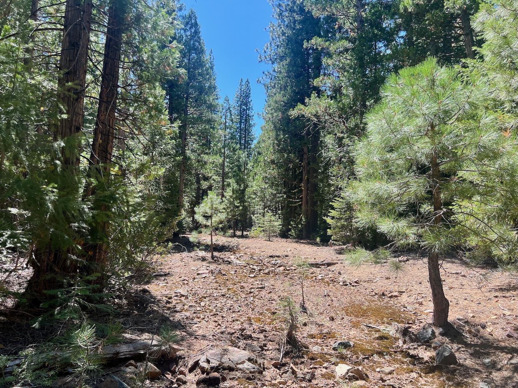 Johnsville Off-Grid Adventure Land
