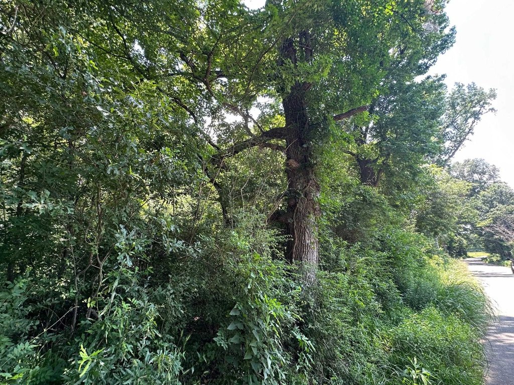 Picture 7