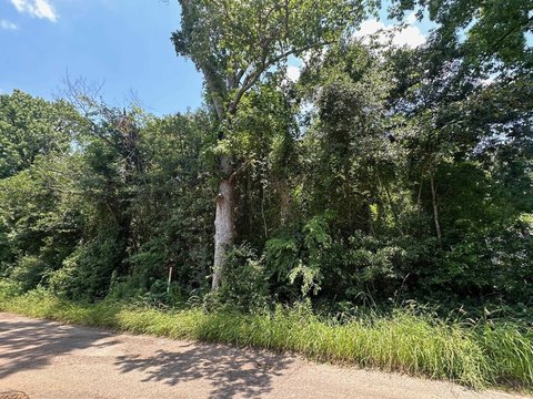 2 Acres Unrestricted Wooded Lot