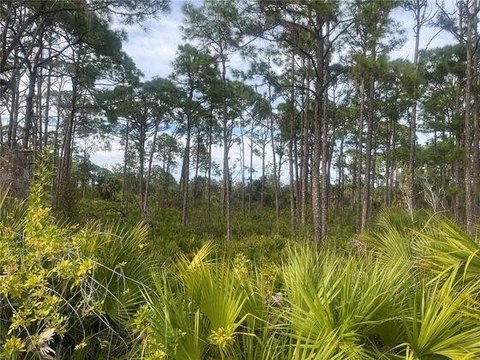 LAND - Port Charlotte, FL