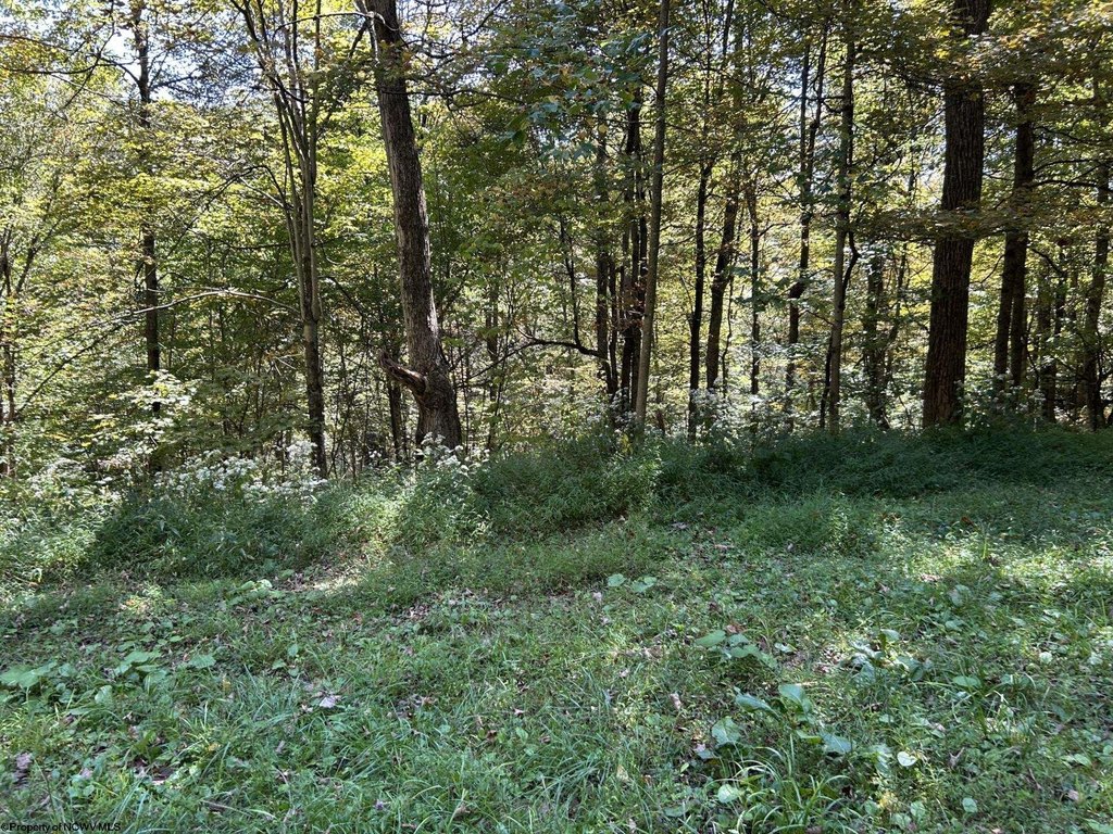 Picture 2