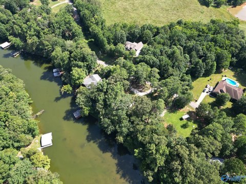 Waterfront Land in Rogersville, AL