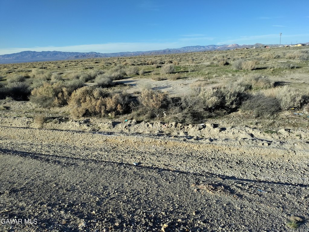 Picture 6