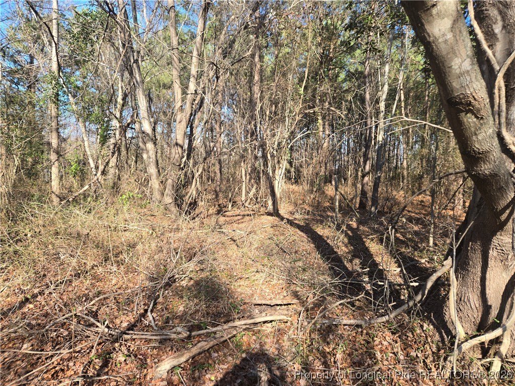 Eastover, NC Large Lot