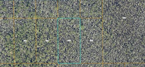 Land, DELAND, FL