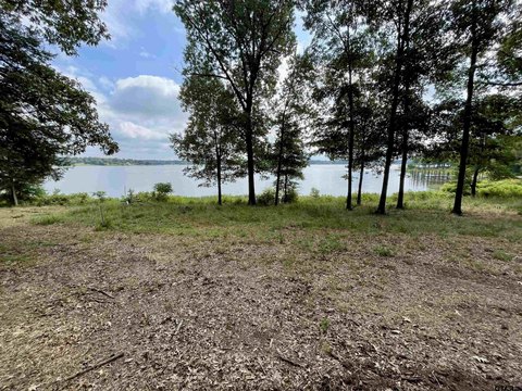 Land, Scroggins, TX