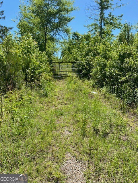23 Acres of Raw Land
