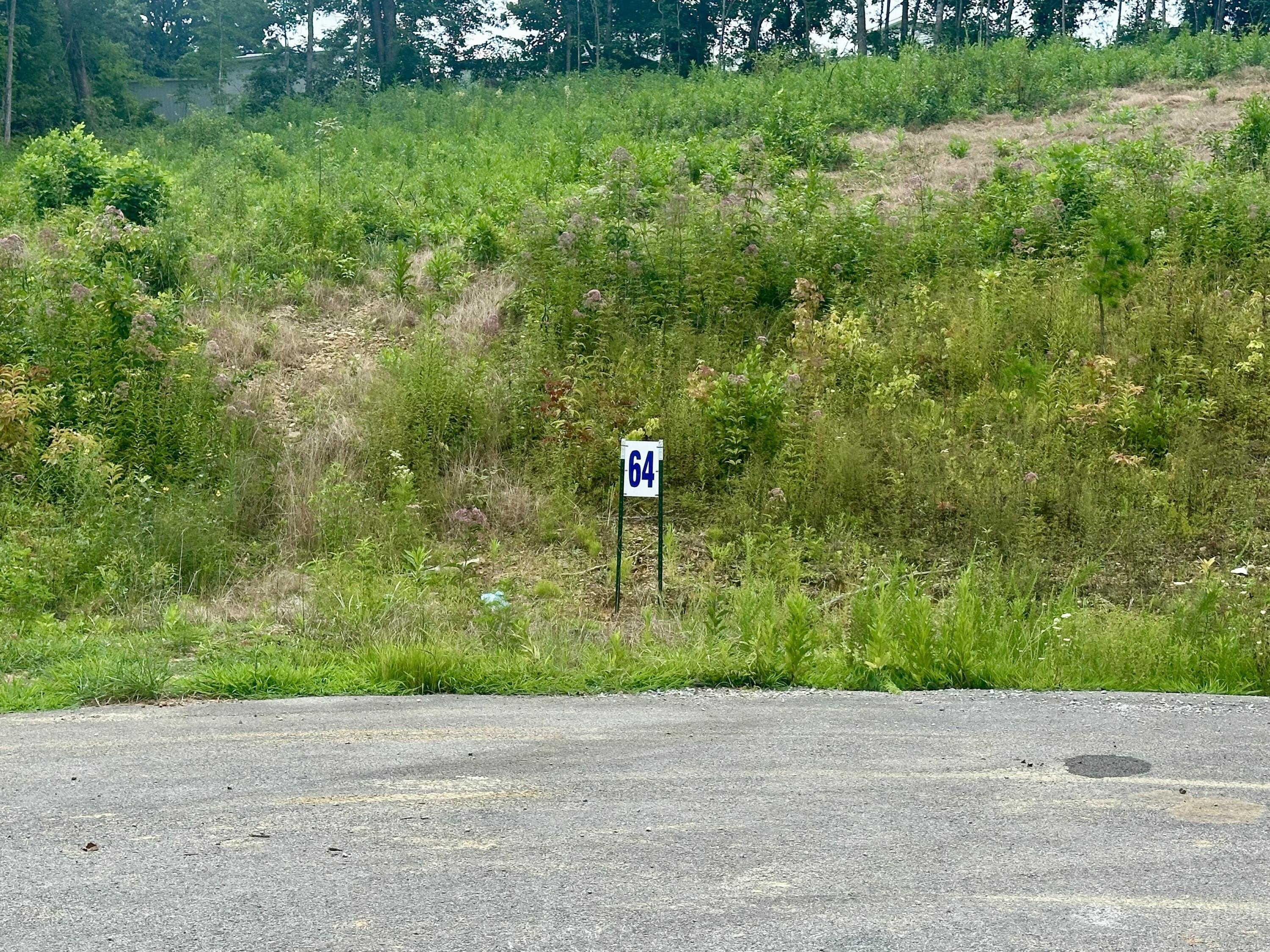 Residential Building Lots in Corbin