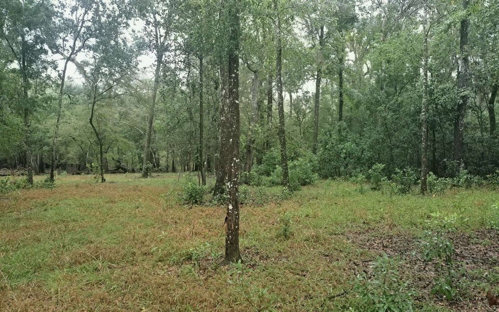 Picture 3