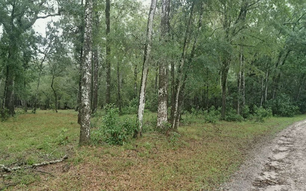 Picture 5