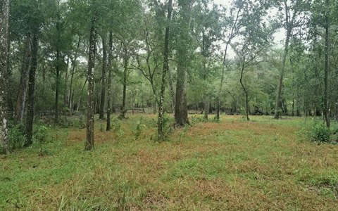 Vacant Land, Branford, FL