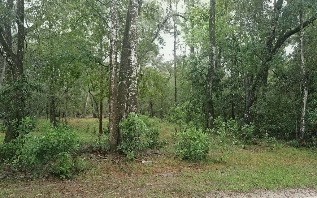 Picture 8