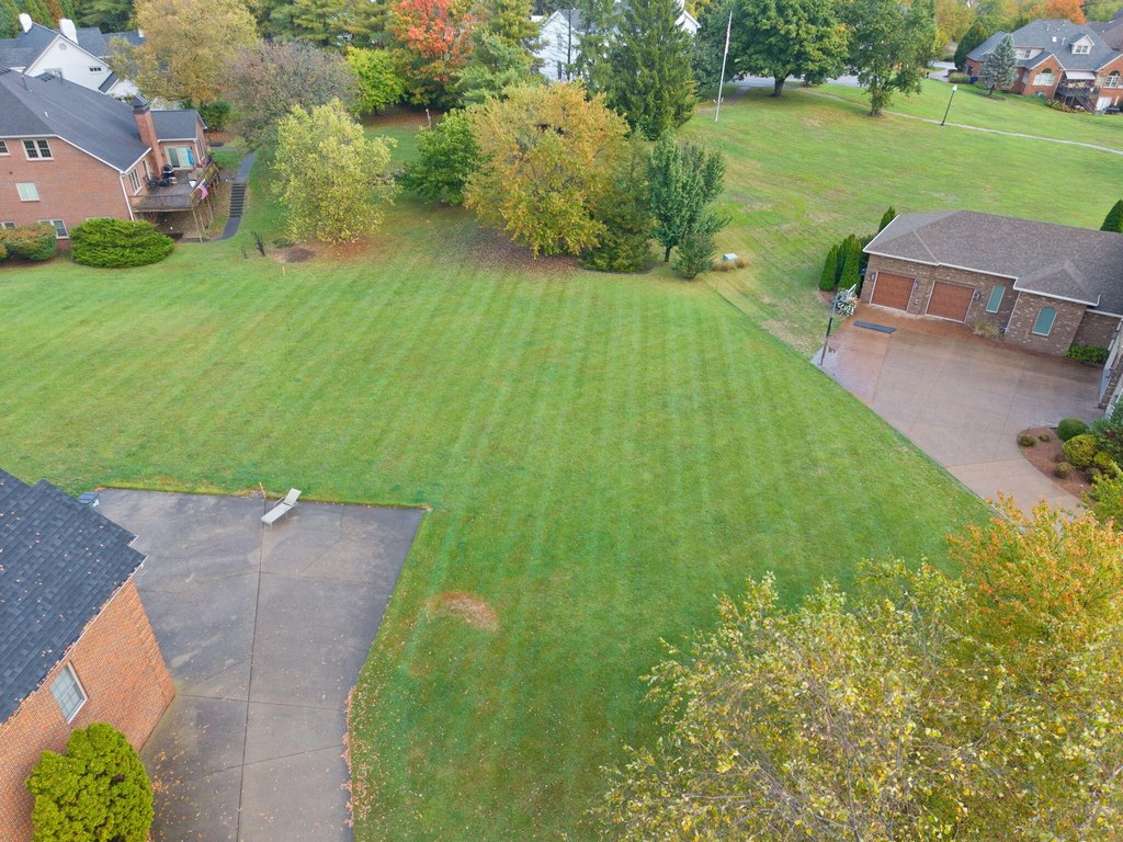 Picture 15