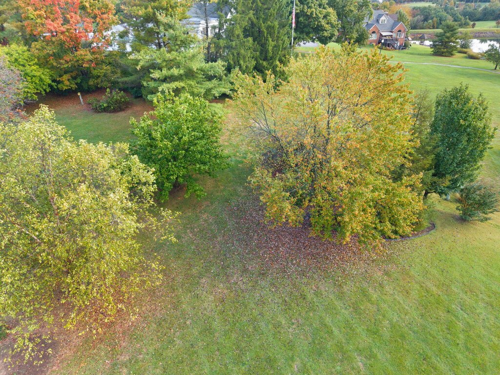 Picture 22