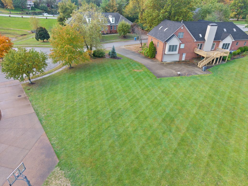 Picture 23