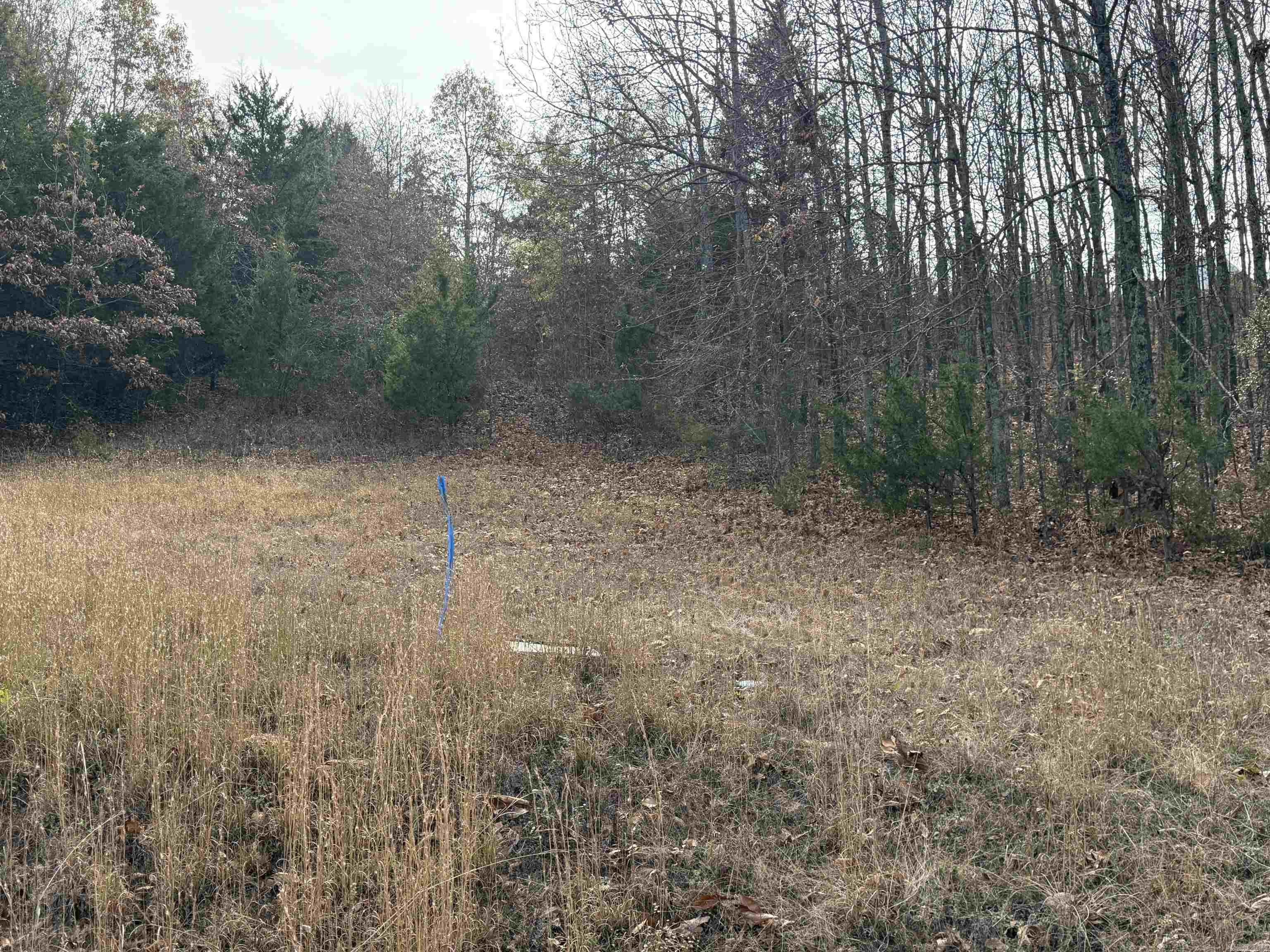 Residential Lot in Gated Community