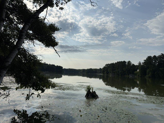 Picture 9