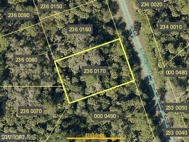 Residential Land in Lehigh Acres