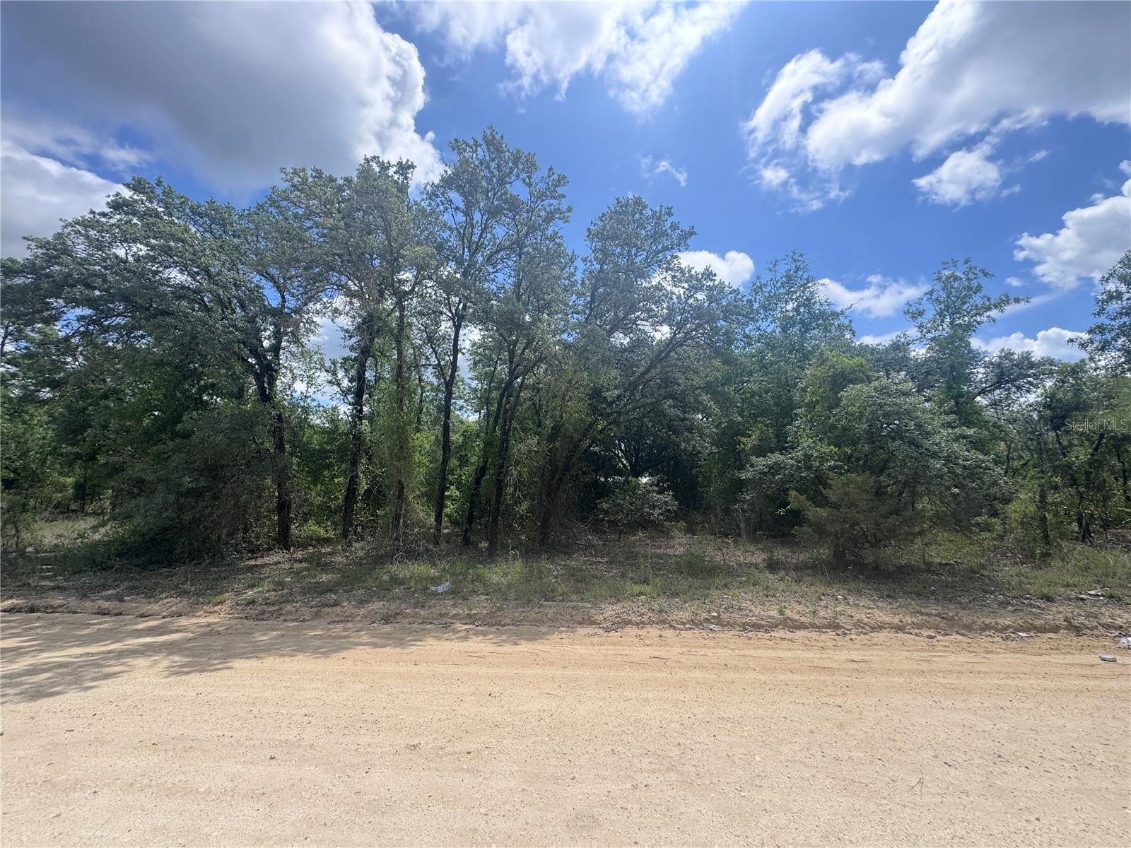 Williston Land For Sale