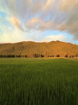 Residential Homesite Land