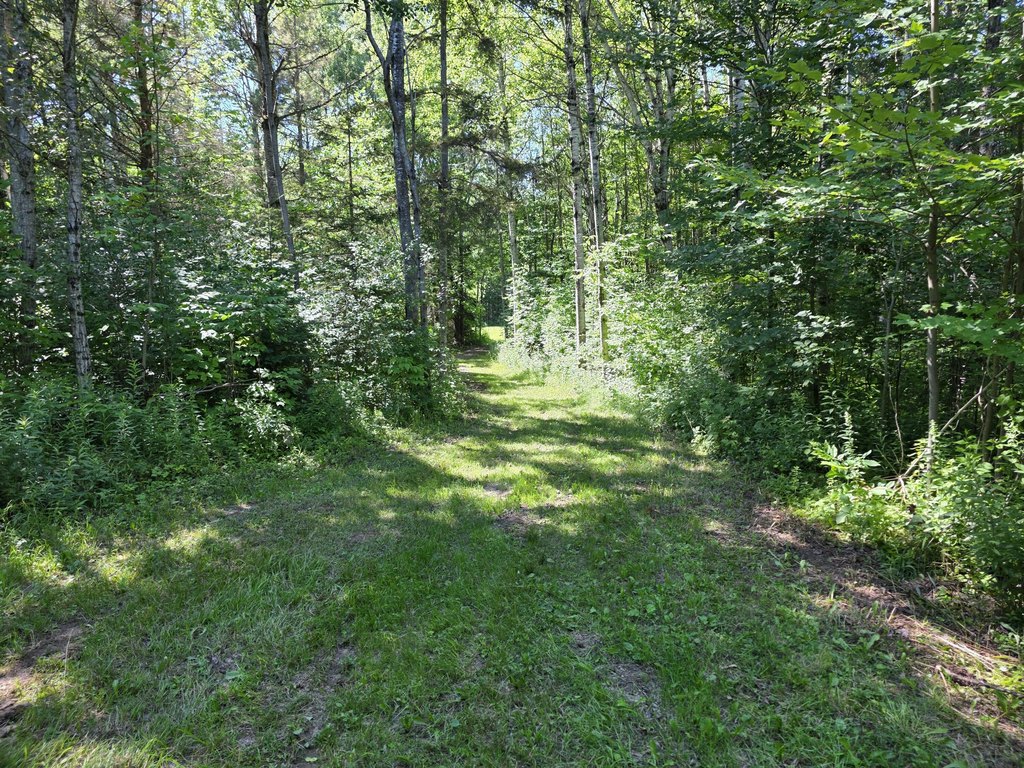 Picture 13