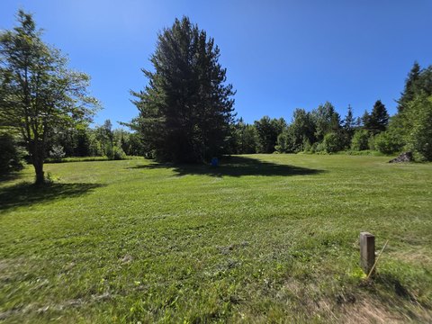 Wooded Land with Pole Building
