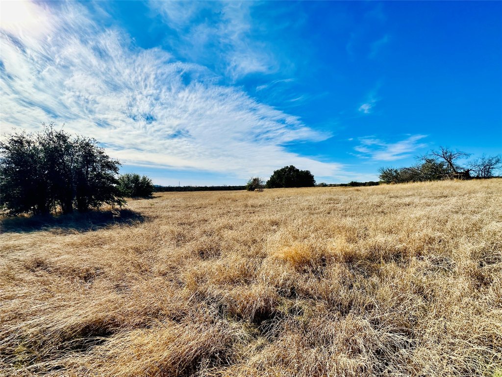 Picture 22