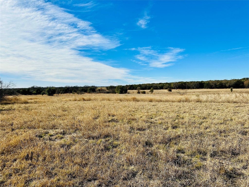 Picture 24