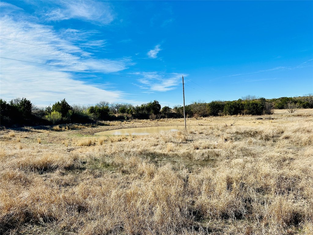 Picture 16