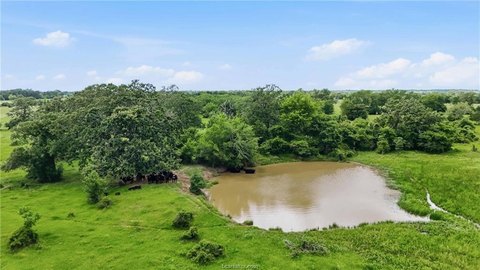 LAND - Franklin, TX