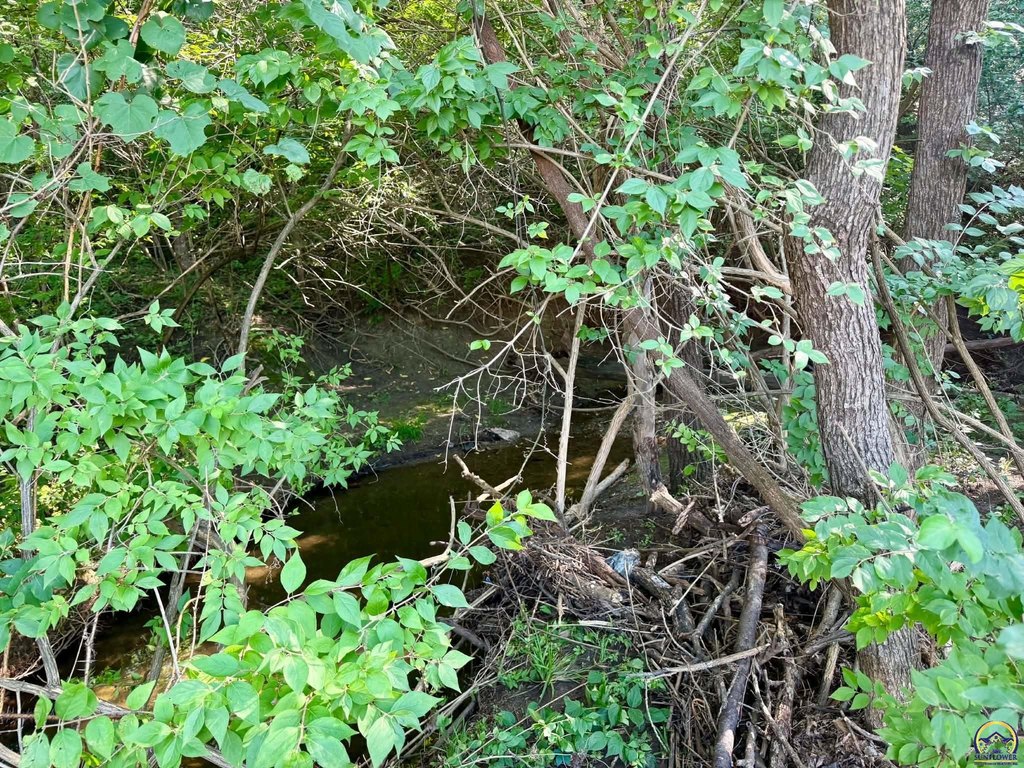 Picture 3