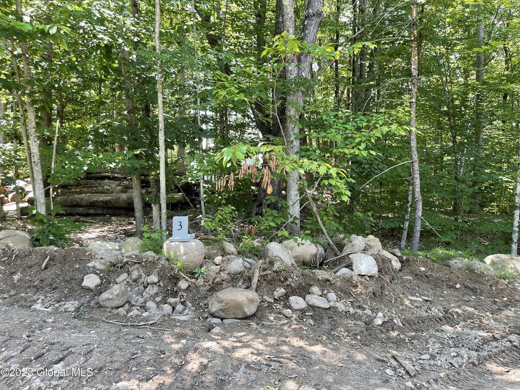 Picture 4
