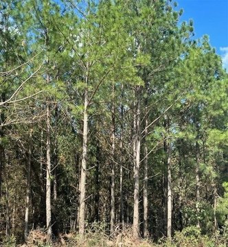 LAND - Broken Bow, OK