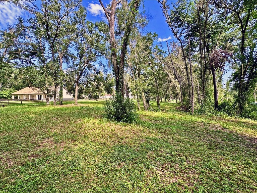 Picture 20