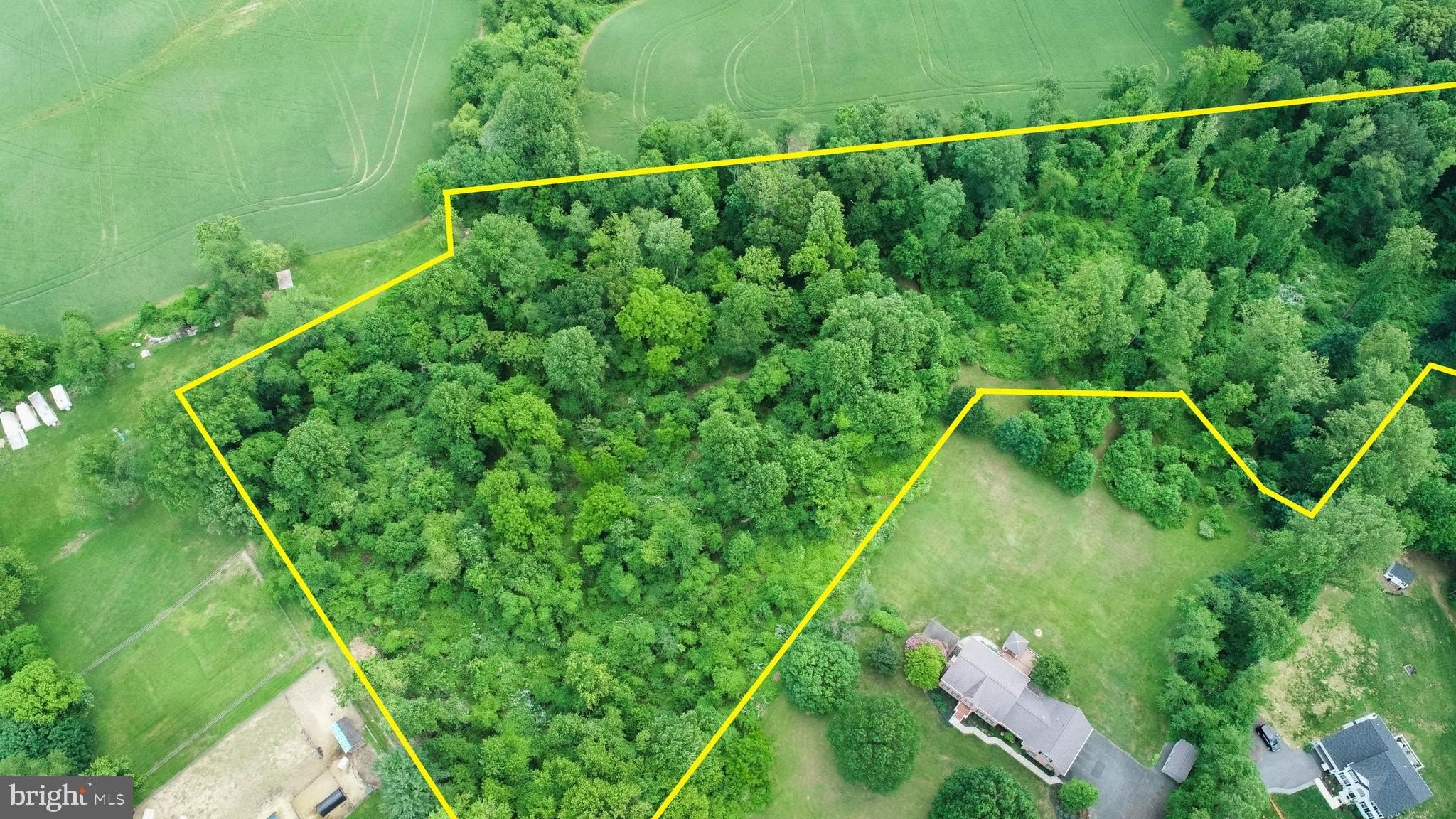 Secluded Forest Hill Acreage