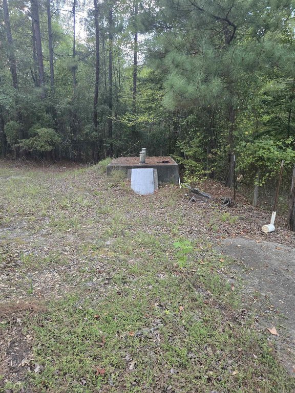 Picture 13