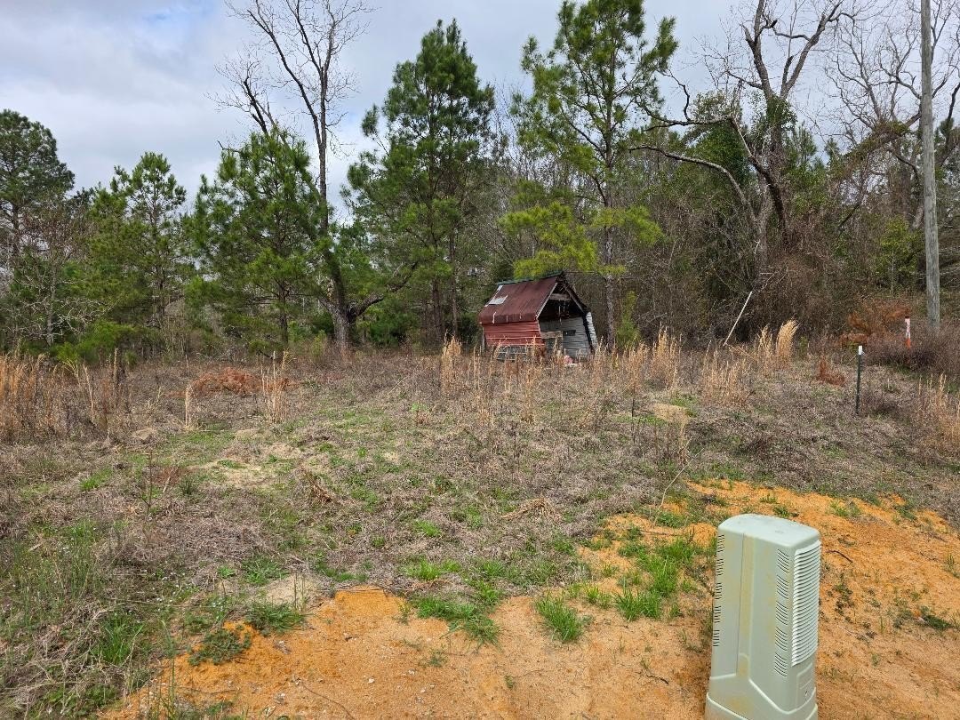 Sardis, GA Acre Lot