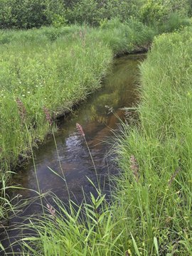 Waterfront Hunting Recreation Land
