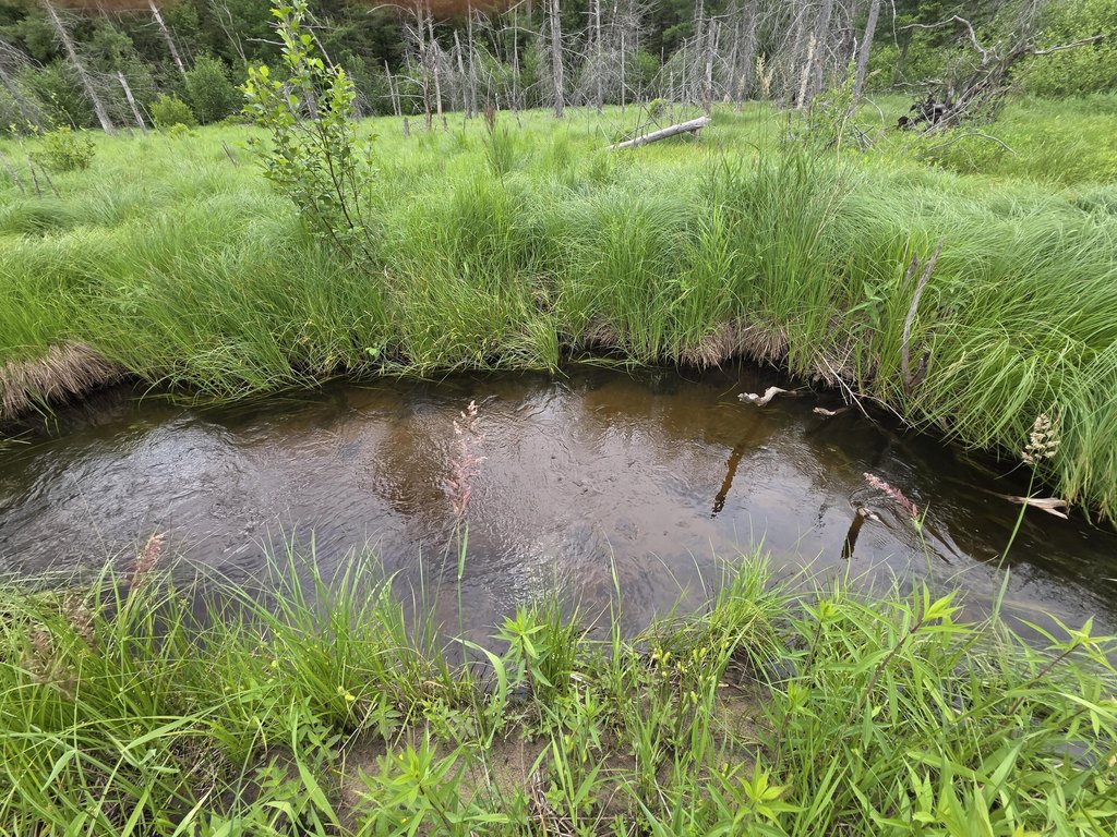 Picture 31
