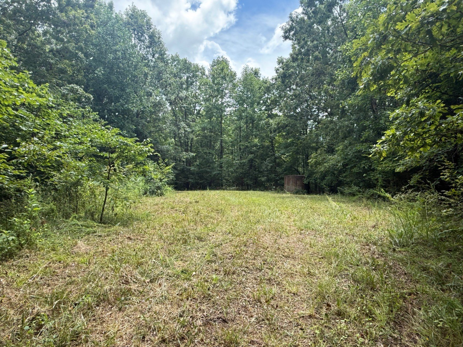 80+ Acres Near Dale Hollow