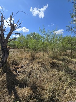 Land, Poteet, TX