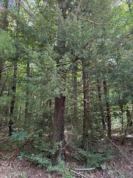 Land, Muskegon, MI