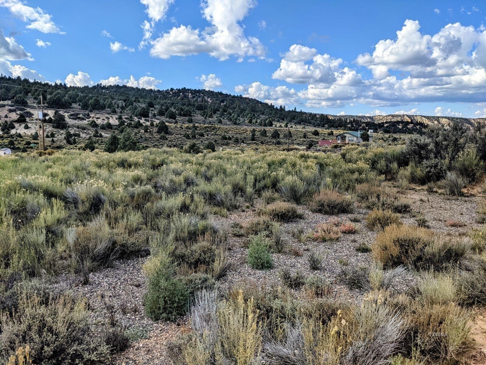 Duck Creek Land For Sale