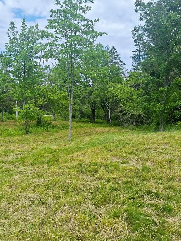 Picture 6