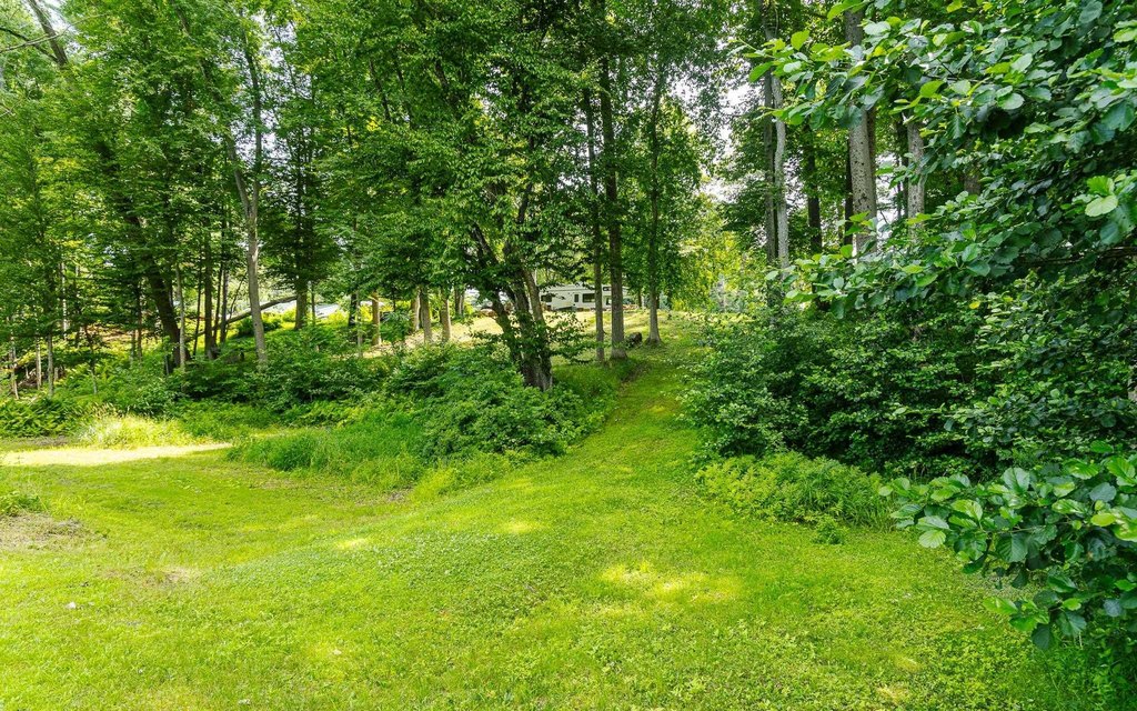 Picture 7