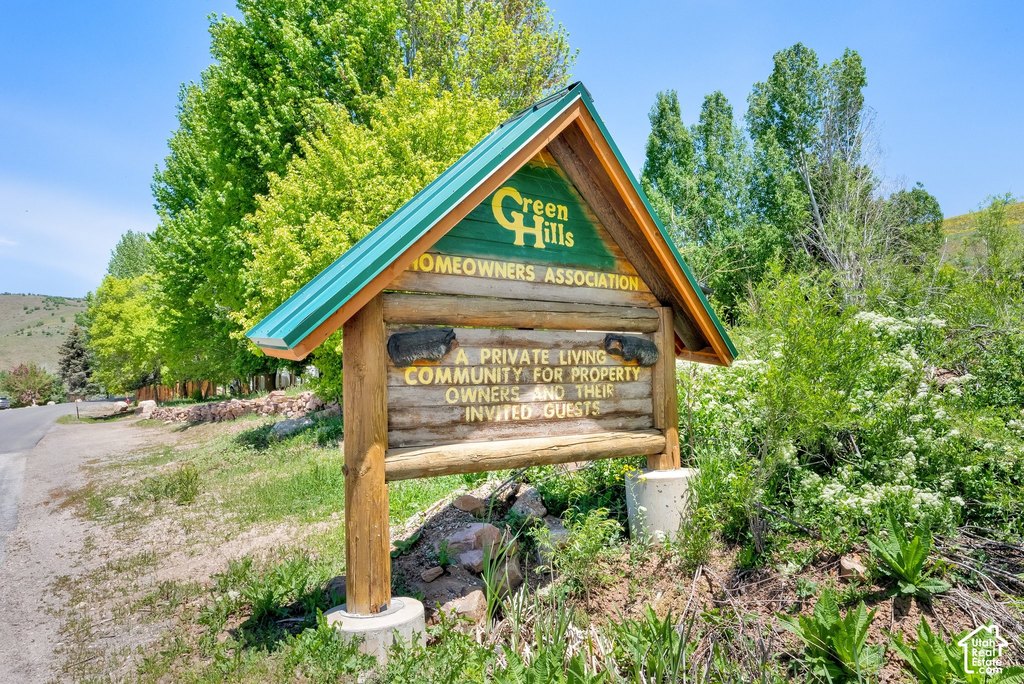 Picture 17